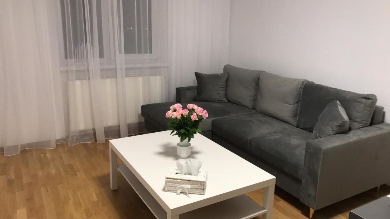 Anna'S Lovely Home シギショアラ エクステリア 写真