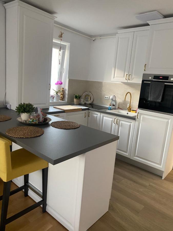 Anna'S Lovely Home シギショアラ エクステリア 写真